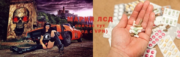 стаф Наволоки
