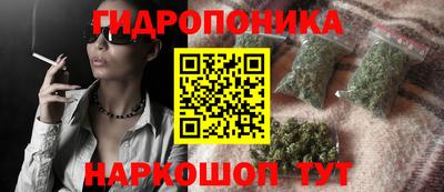 эйфоретик Краснодар