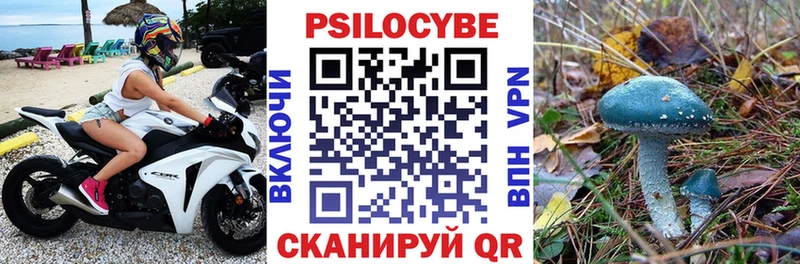 Галлюциногенные грибы Psilocybe  Евпатория 