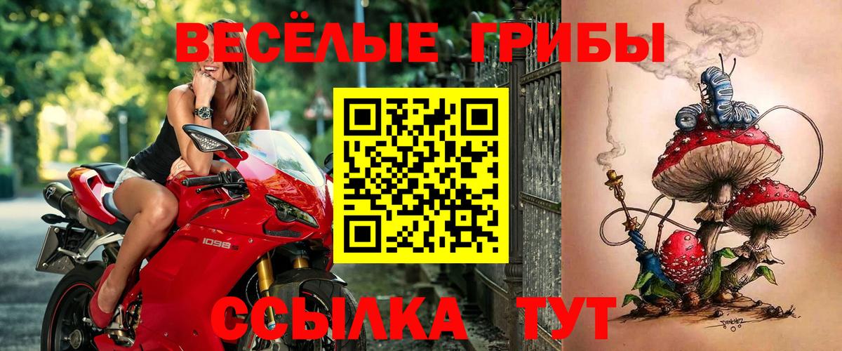 Евпатория  продажа наркотиков  Вход с VPN  Псилоцибиновые грибы Magic Shrooms 